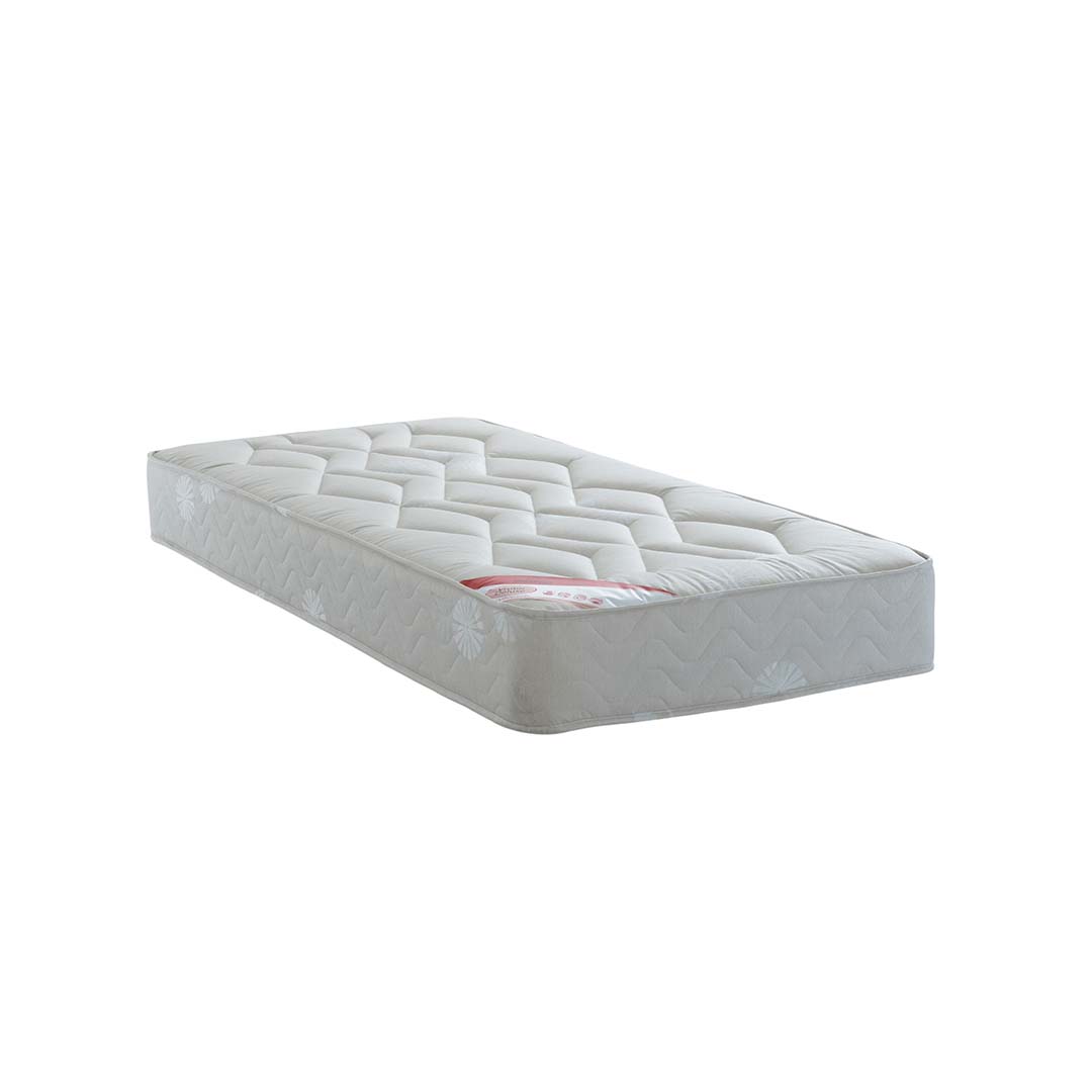 Visitor Deluxe - Image 5